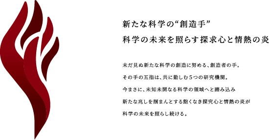 OML_LOGO_Caption.png